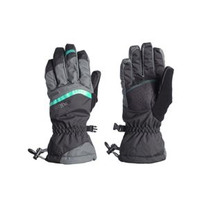 Rukavice Rab Storm Glove RAB black / bl L