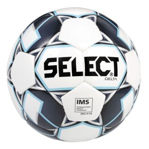 Futbalový lopta Select FB Delta bielo sivá