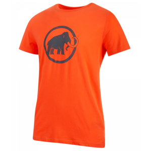 Pánske tričko Mammut Logo T-Shirt Men (1017-07292) zion PRT2 M