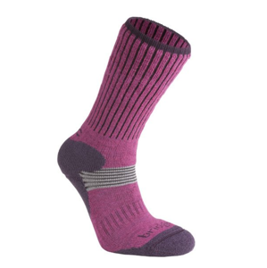 Ponožky BRIDGEDALE XC Classic Womens Purple 9,5-12