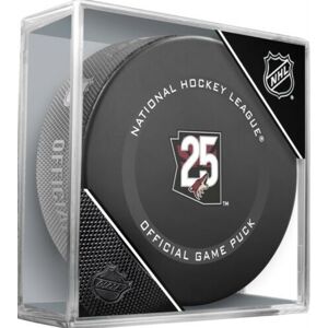 InGlasCo Fanúšikovský puk NHL Game 20th Anniversary (1ks), Arizona Coyotes